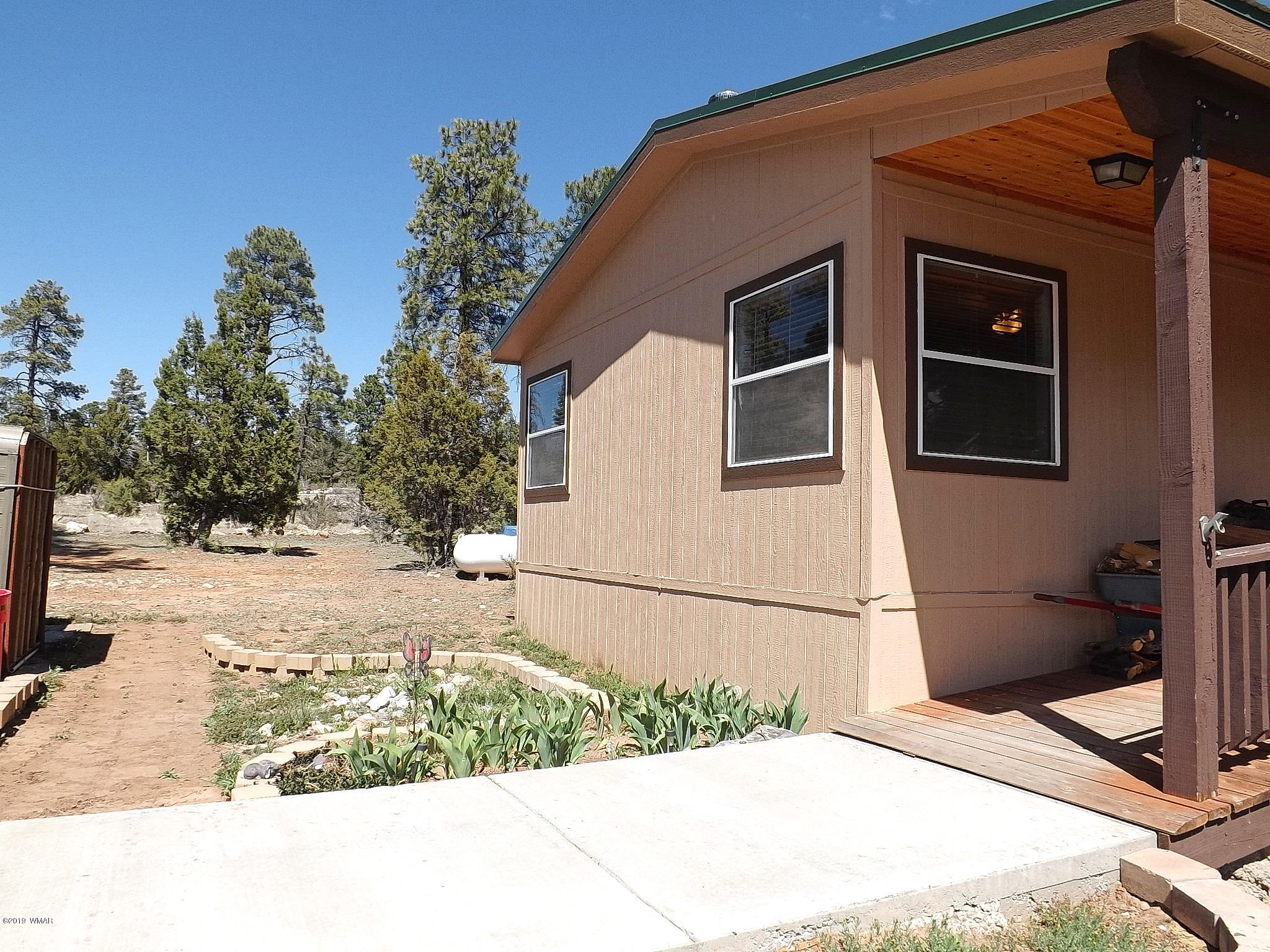2126 Rimview Trail Overgaard, AZ 85933 - Photo 4 of 49