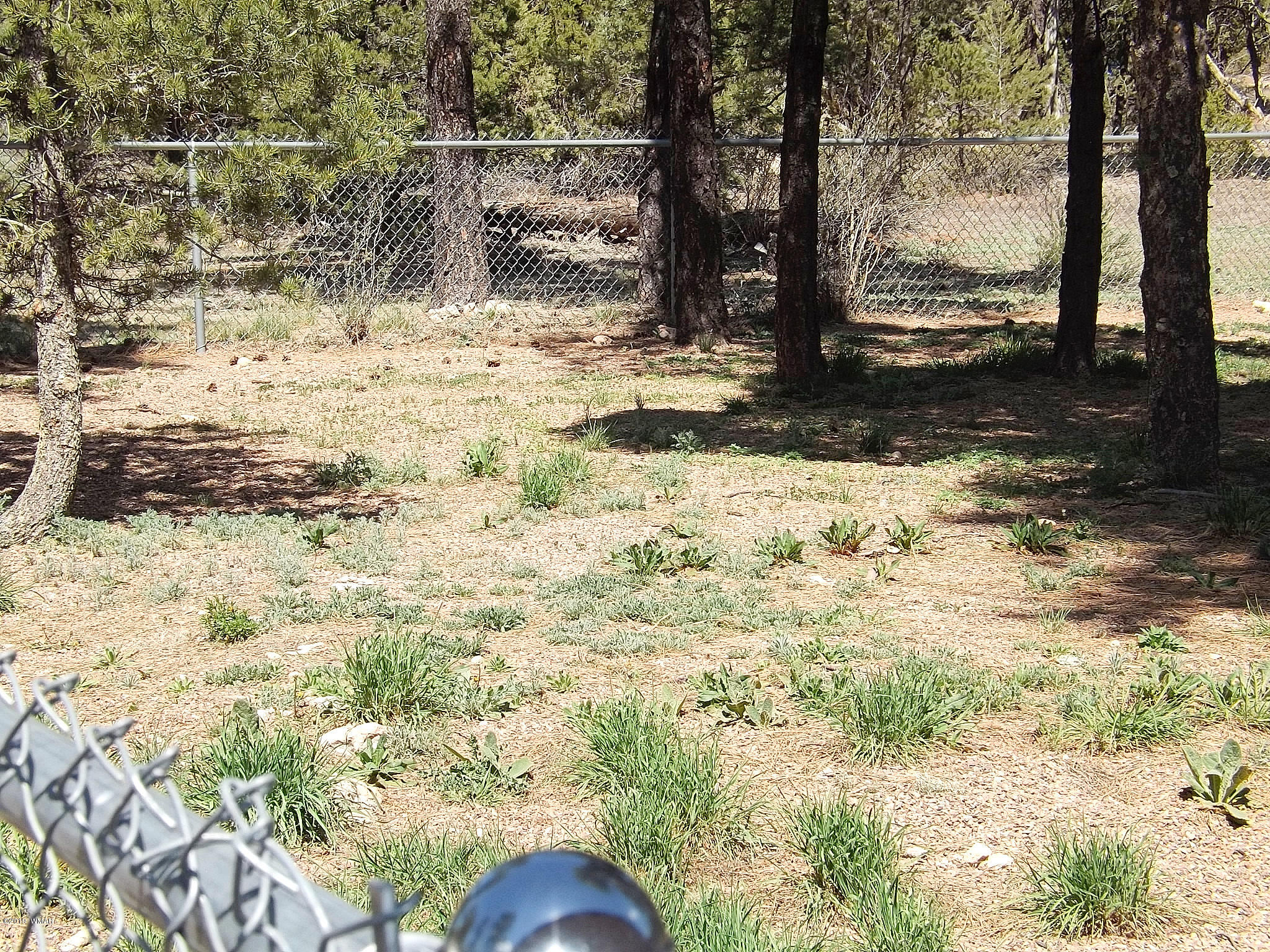 2126 Rimview Trail Overgaard, AZ 85933 - Photo 7 of 49