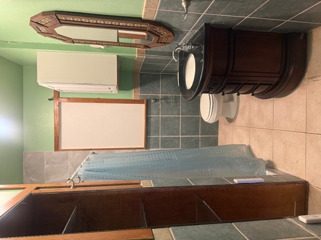 600 South Pecan Avenue Luling, TX 78648 - Photo 8 of 18 a bathroom with a sink a toilet and a mirror