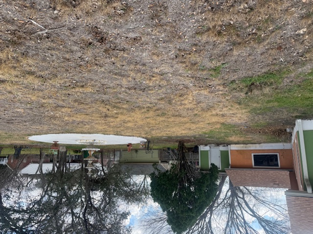 600 South Pecan Avenue Luling, TX 78648 - Photo 10 of 18 a backyard of a house with large trees and outdoor seating