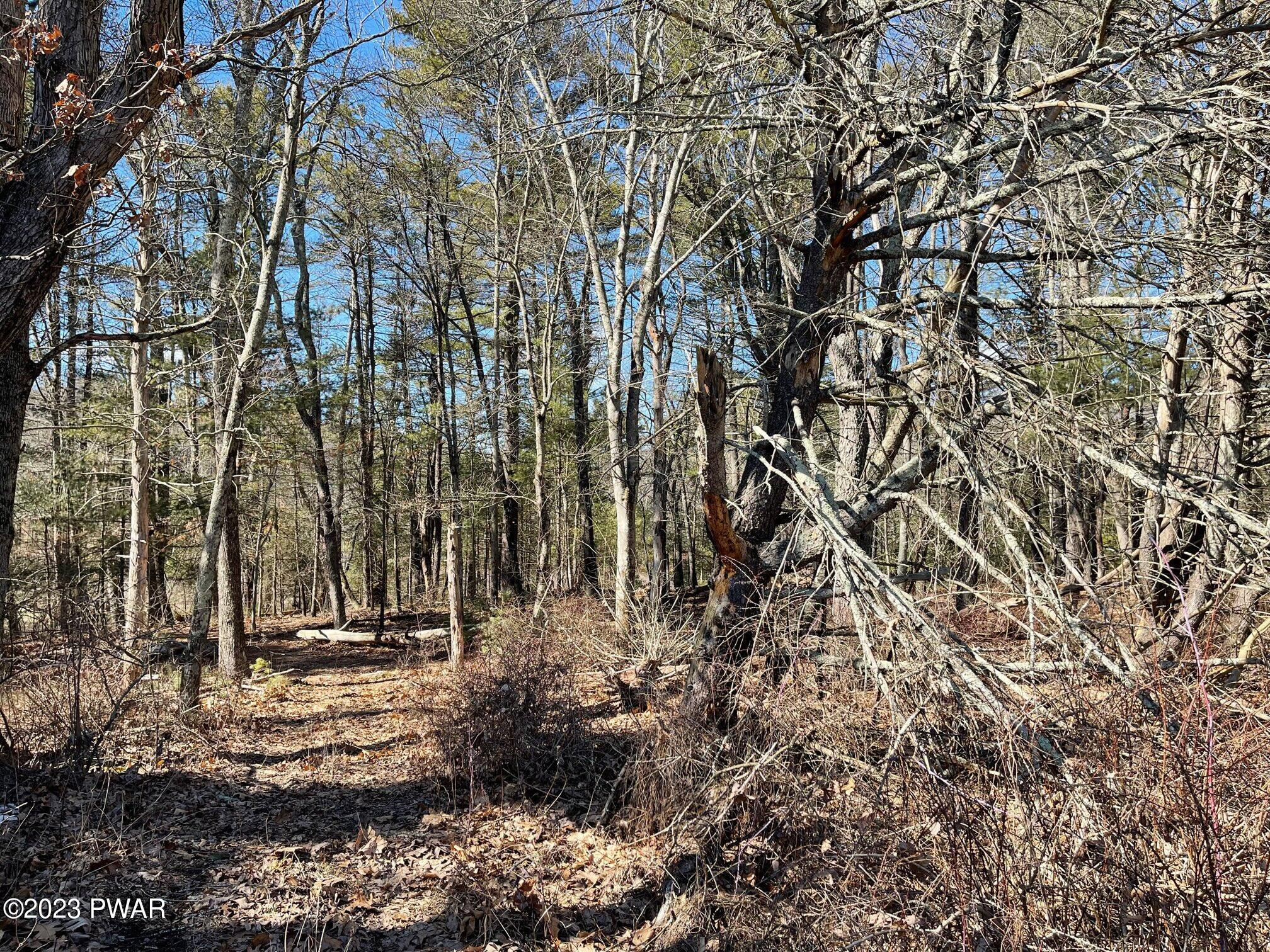 Lot 19 Mt Springs Road Milford, PA 18337 - Photo 3 of 11