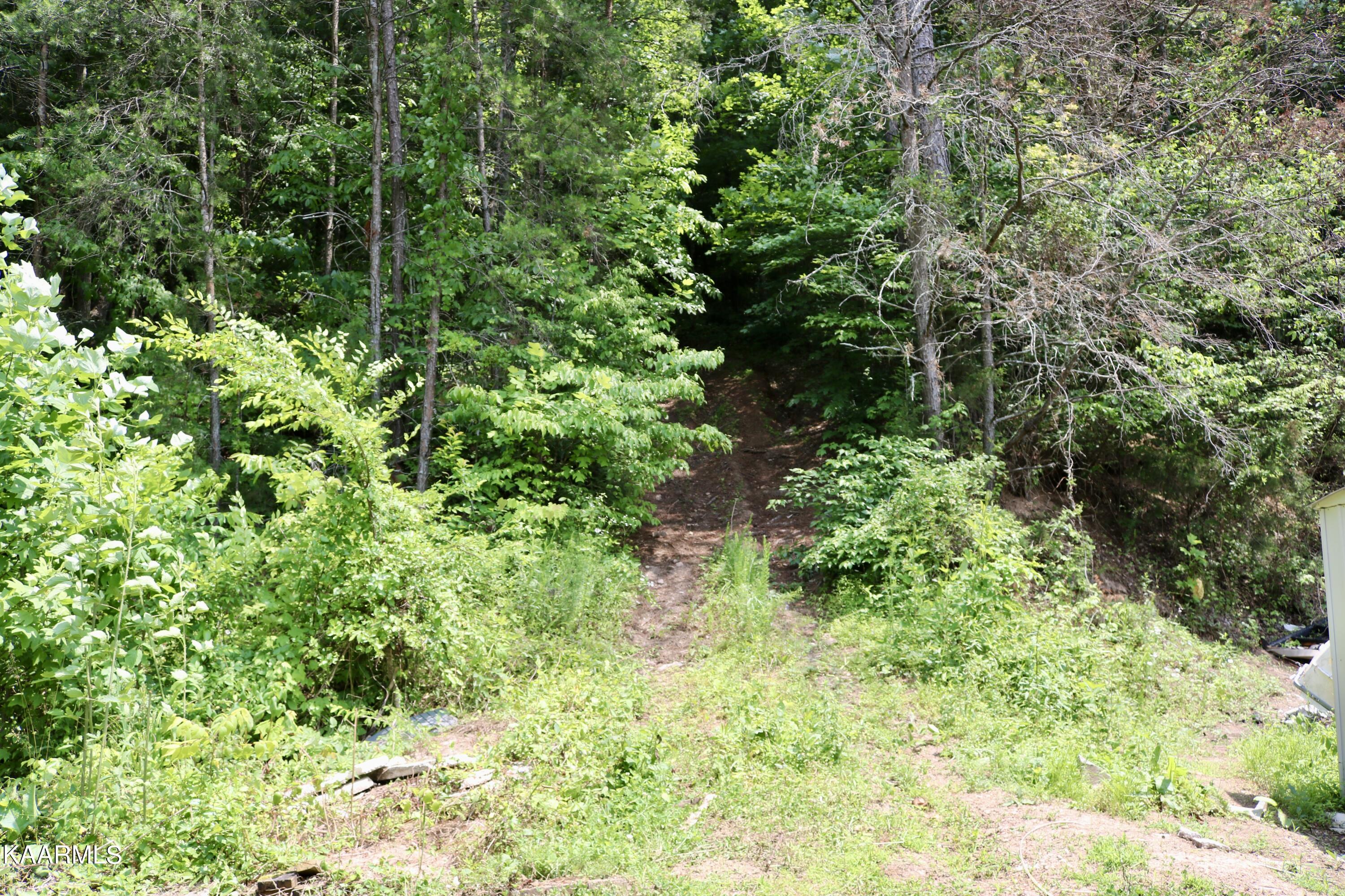 244 Old Springs Road Maynardville, TN 37807 - Photo 7 of 12 Explore this trail!