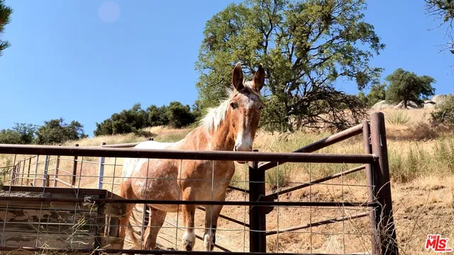 $455,000 | 24409 San Juan Drive, Tehachapi, CA 93561