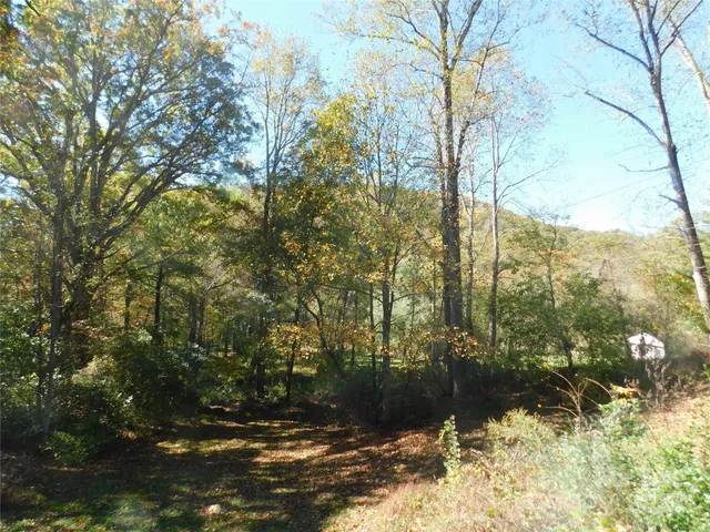 a backyard of a house with large trees and plants