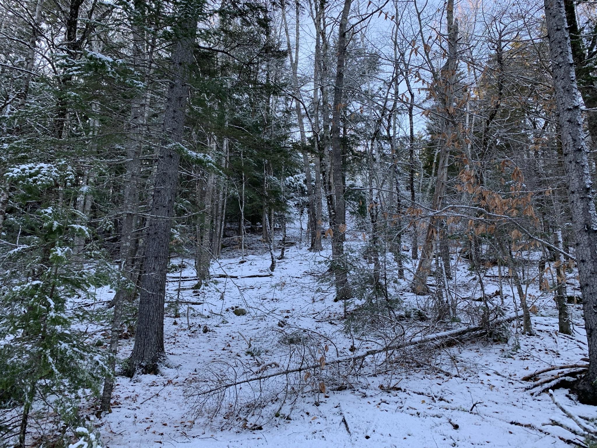 0 Town Hall Road Edgecomb, ME 04556 - Photo 12 of 15 IMG_0534