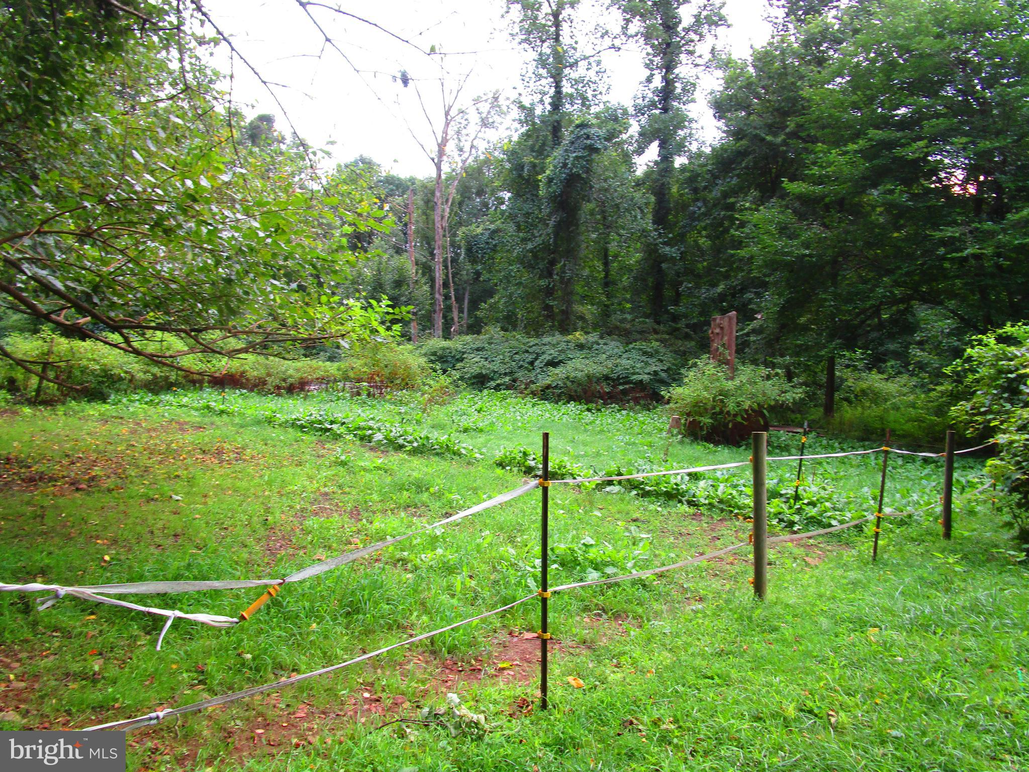 50 Creek Road Manchester, PA 17345 - Photo 3 of 7 Gallery Image 3