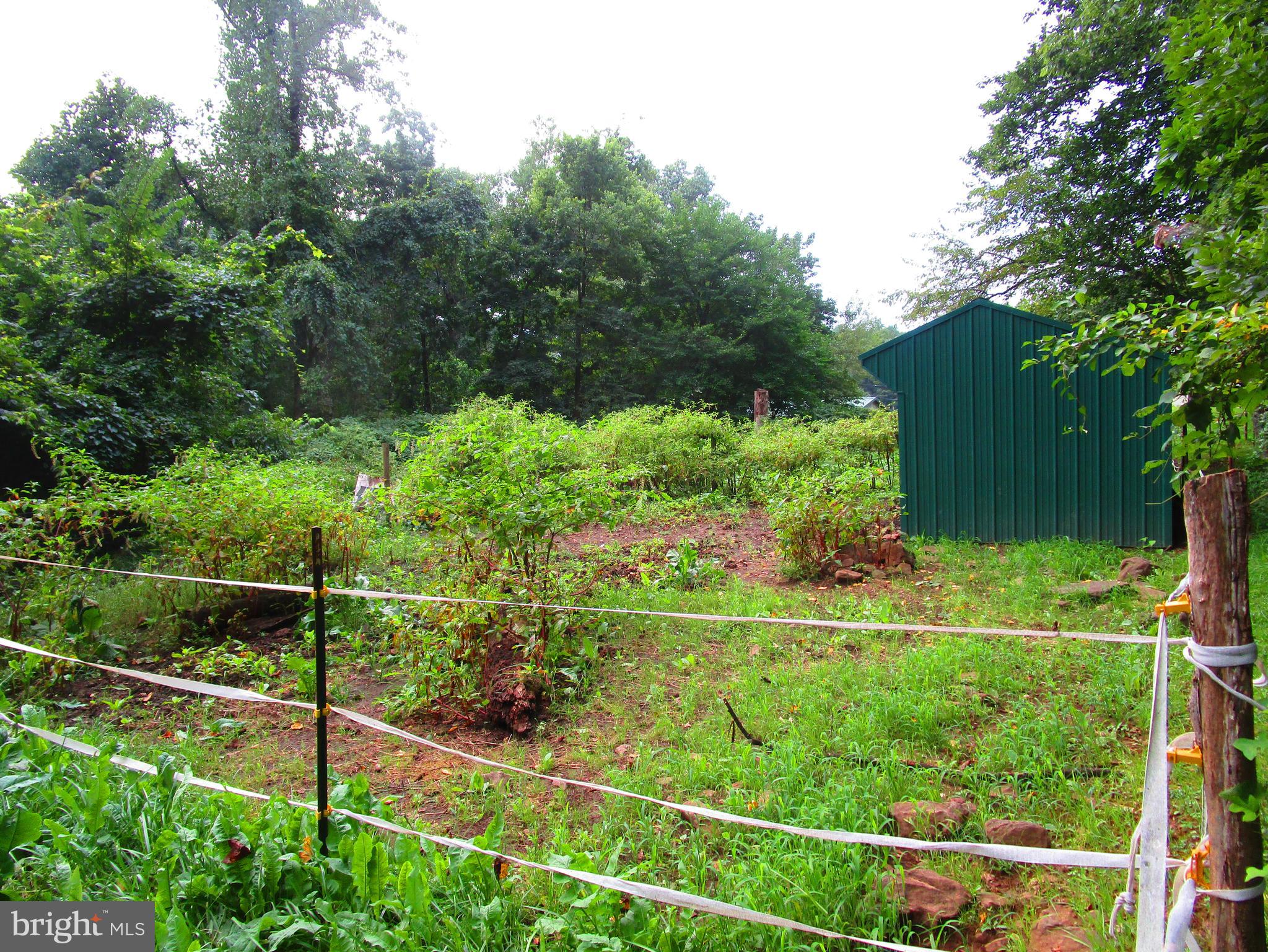 50 Creek Road Manchester, PA 17345 - Photo 4 of 7 3.5 Acres of pasture / land. Suitable for 2 horses