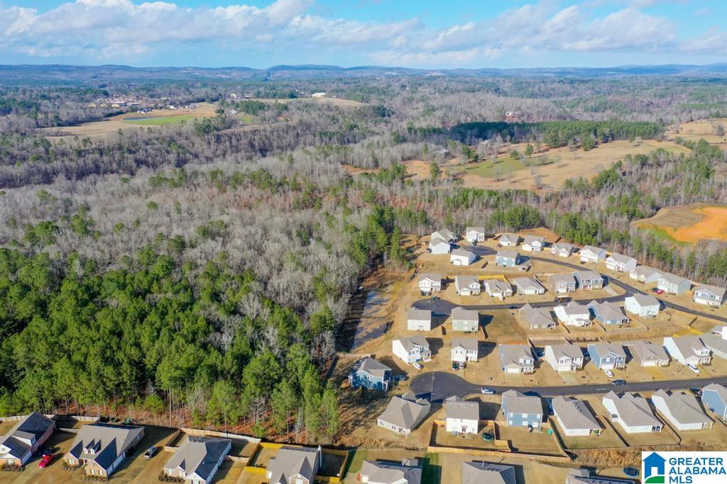 305 Firebrick Way Kimberly, AL 35091 - Photo 31 of 34
