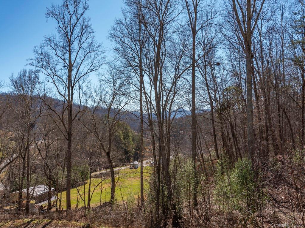 115 Porters Ridge Canton, NC 28716 - Photo 3 of 26