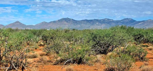 a view of small pond