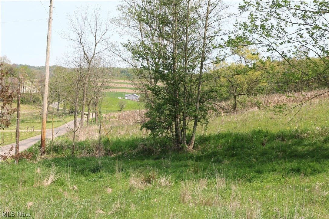 Eckert Road Baltic, OH 43804 - Photo 2 of 7 Gallery Image 2