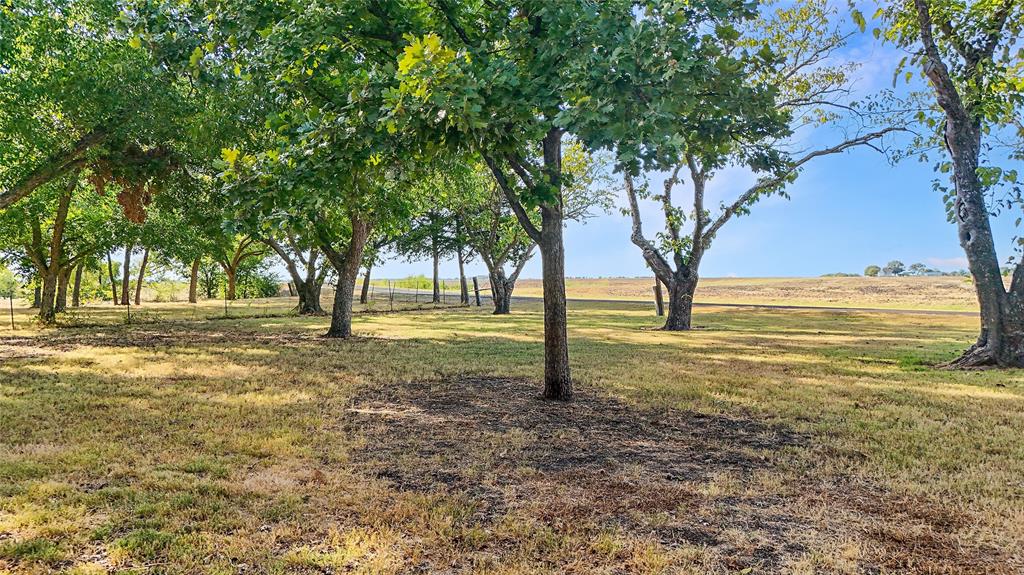 917 Goodwyn Road Italy, TX 76651 - Photo 32 of 40 Expansive grounds featuring mature trees and open fields