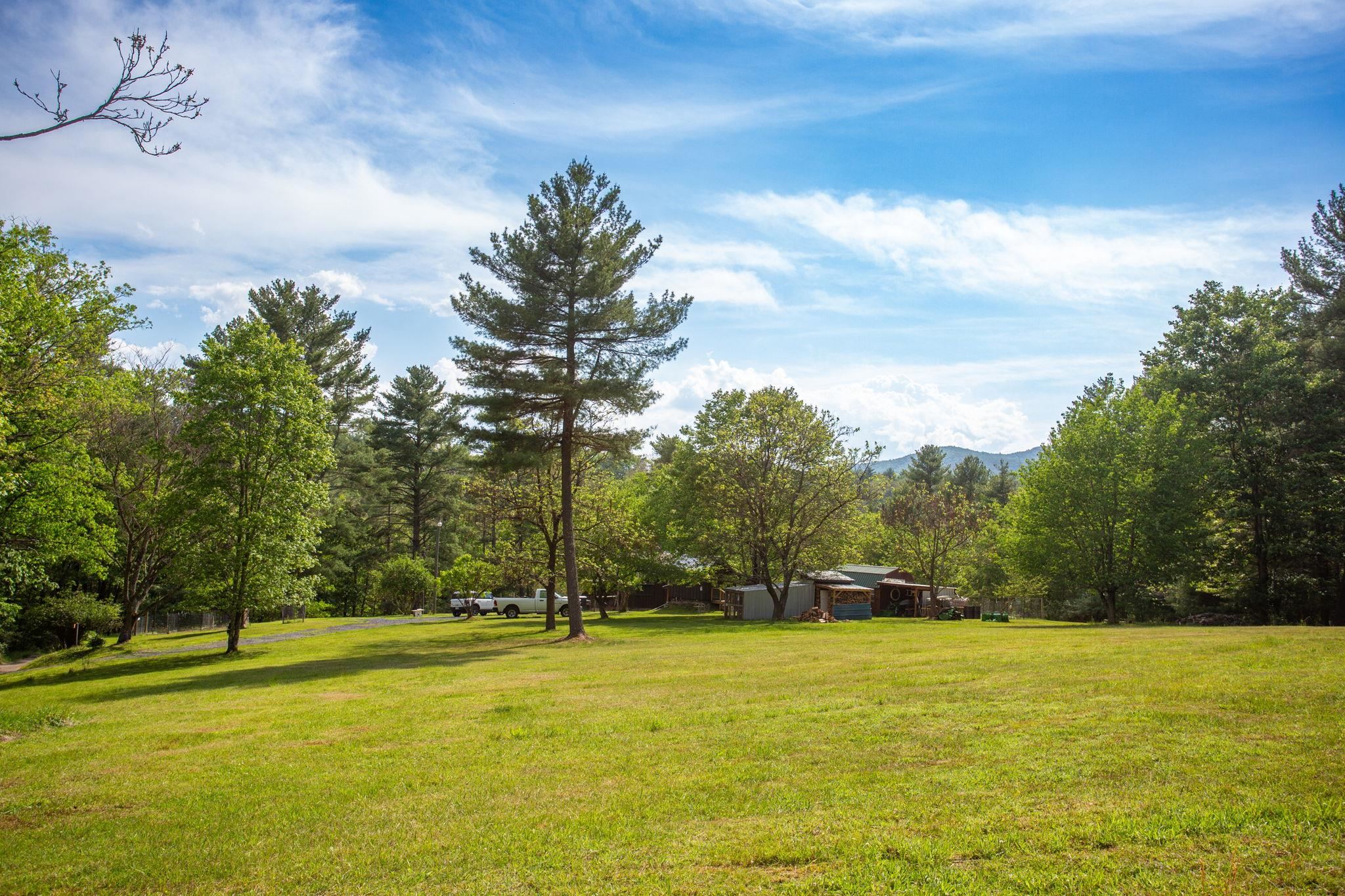 21117 Mine Mountain Road Bergton, VA 22811 - Photo 26 of 30 around the house with more seasonal views.