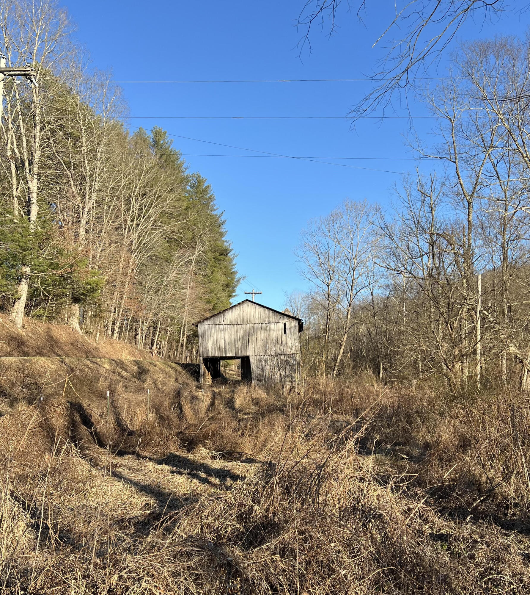 710-742 Dunigan Road Tyner, KY 40486 - Photo 6 of 25 dunigan 5