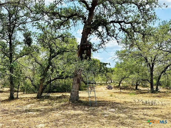 $1,400,000 | 1657 County Road 434, Stockdale, TX 78160