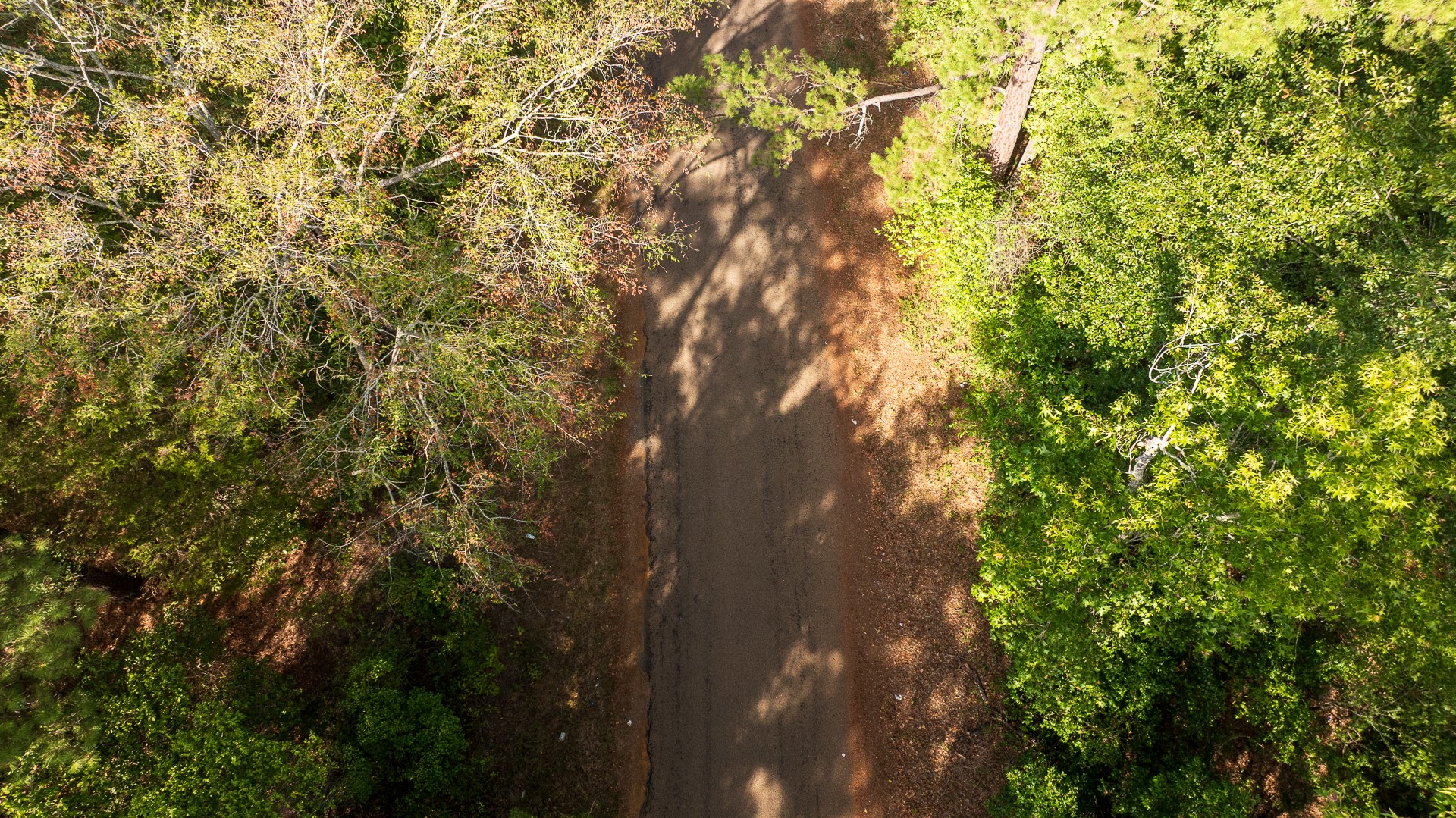 Tbd Tbd Fm-343 Rusk, TX 75785 - Photo 15 of 23 Gallery Image 15