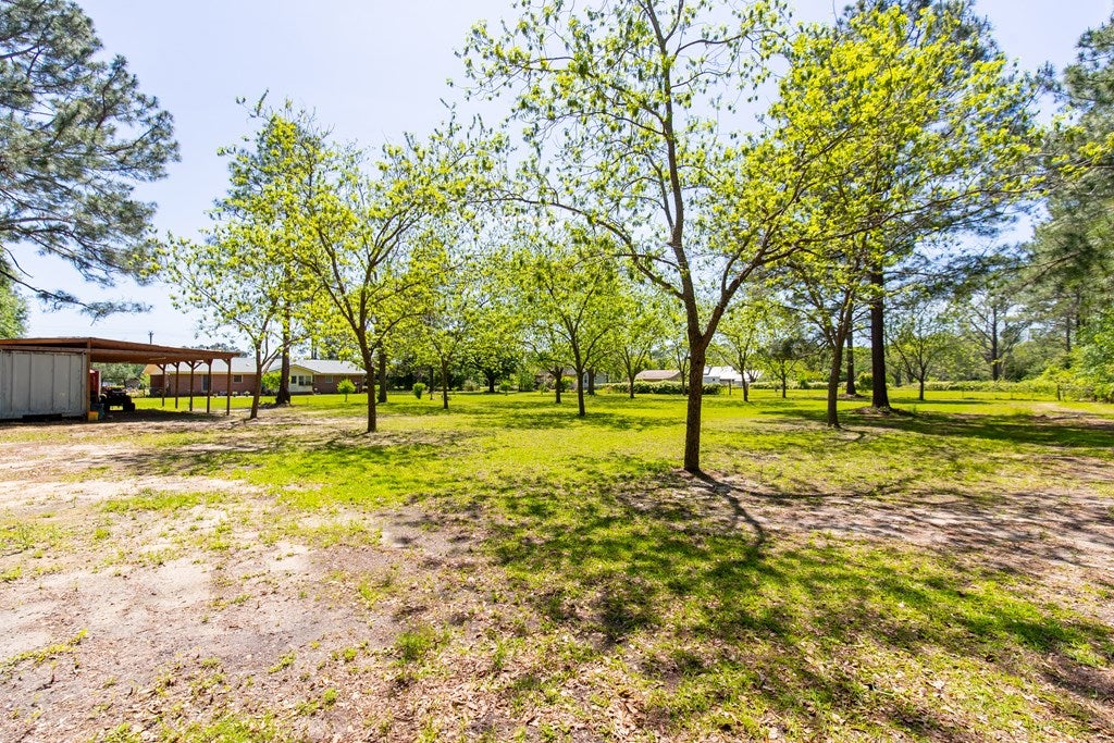 8605 Val Del Road Adel, GA 31620 - Photo 20 of 46 Gallery Image 20