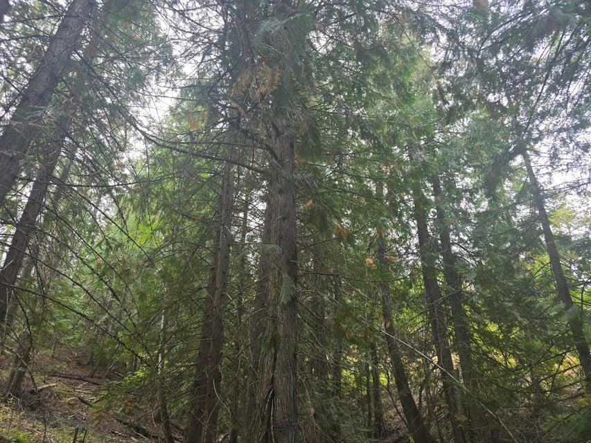 2291 Marble Valley-Basin Road Colville, WA 99114 - Photo 9 of 36