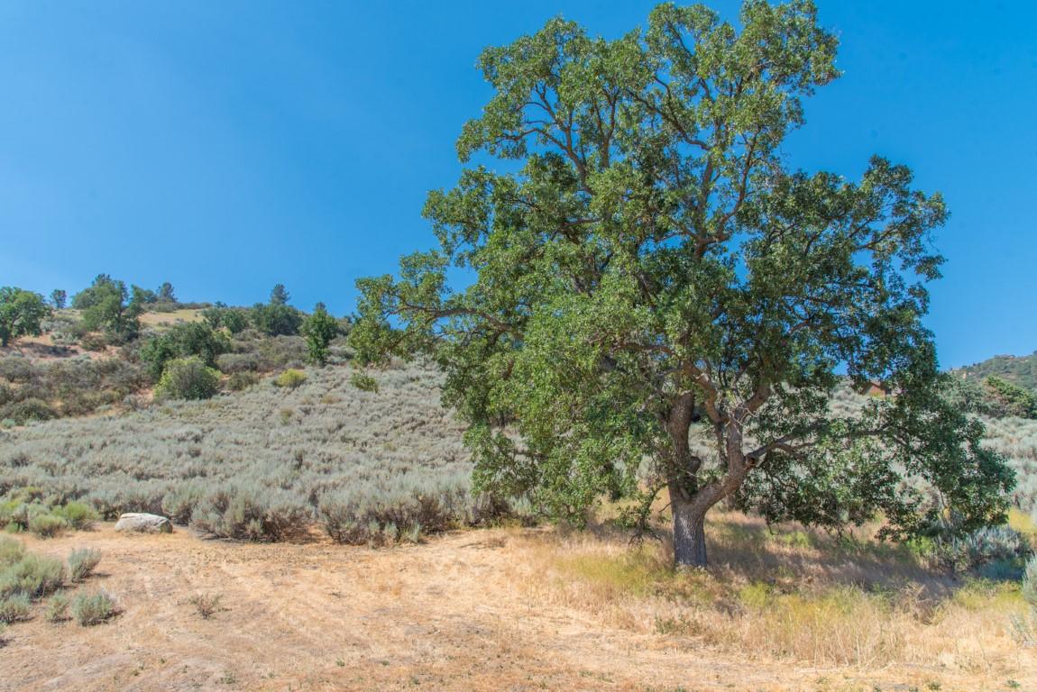 22541 Fargo Way Tehachapi, CA 93561 - Photo 33 of 33 t2 (Medium)