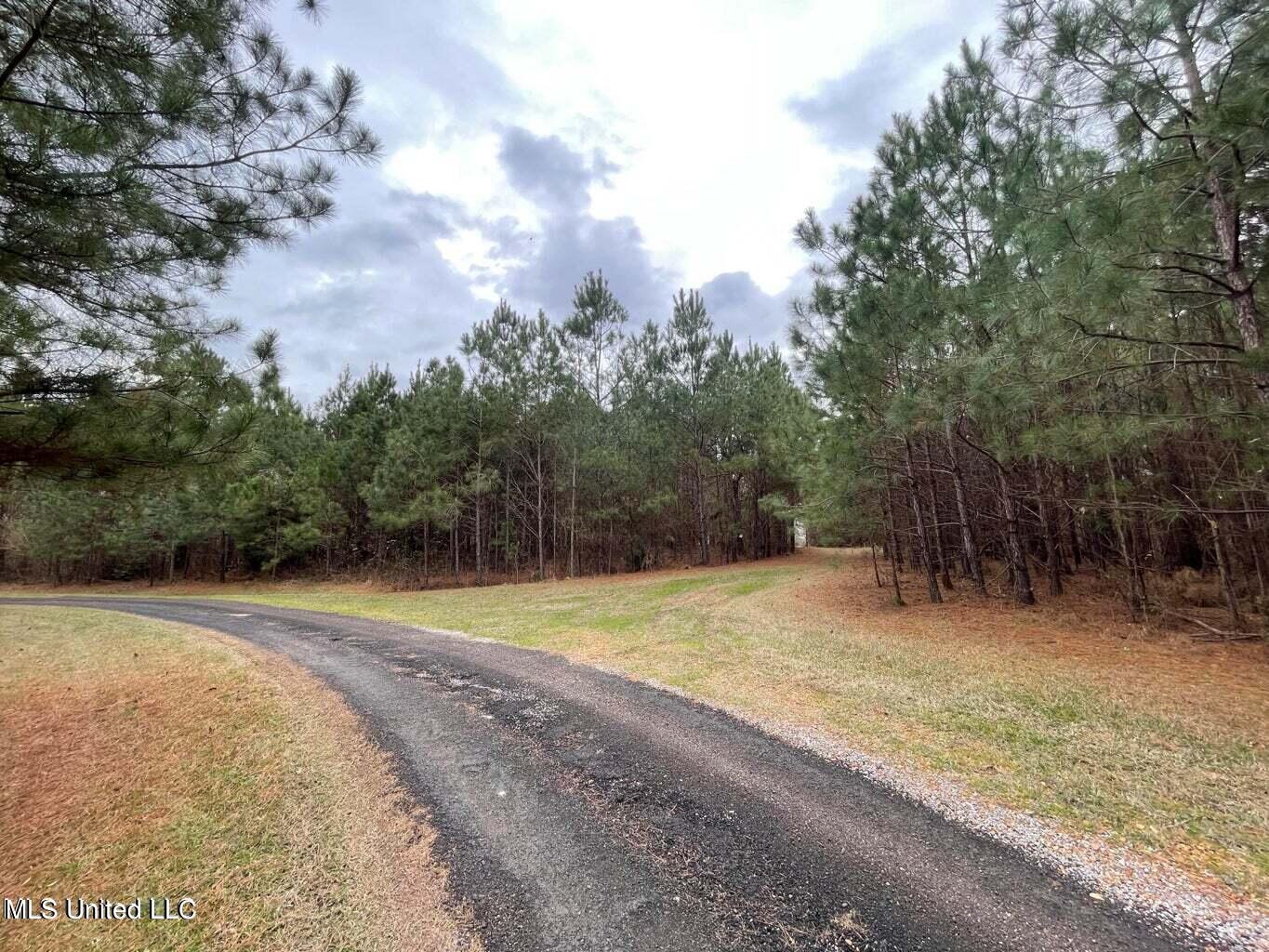 0 Springridge Road Terry, MS 39170 - Photo 8 of 12 Springridge Rd 9