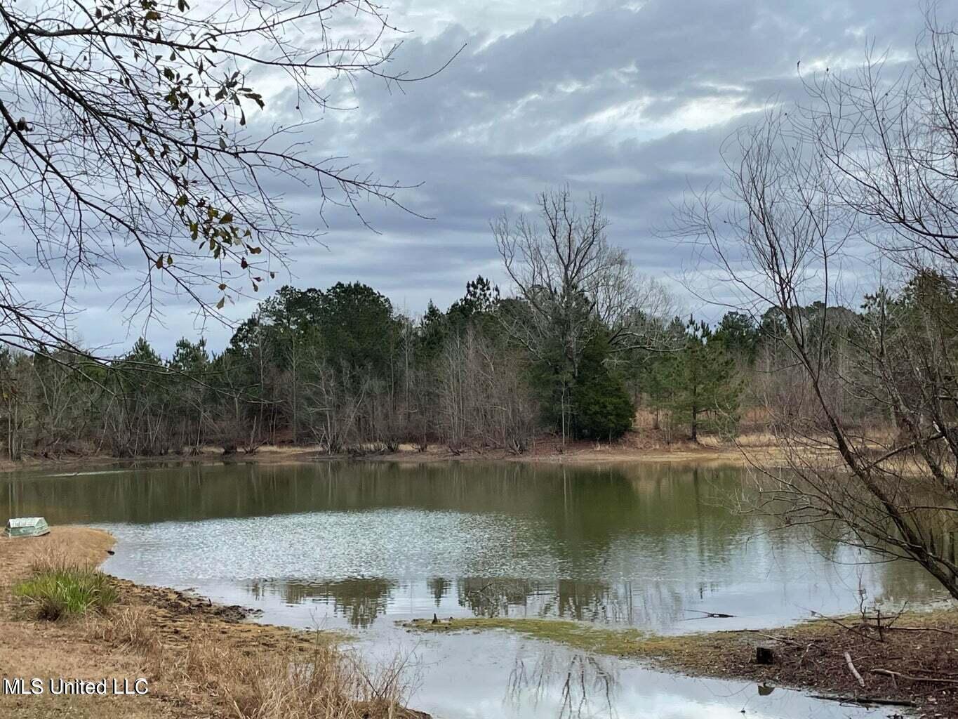 0 Springridge Road Terry, MS 39170 - Photo 9 of 12 Springridge Rd 10