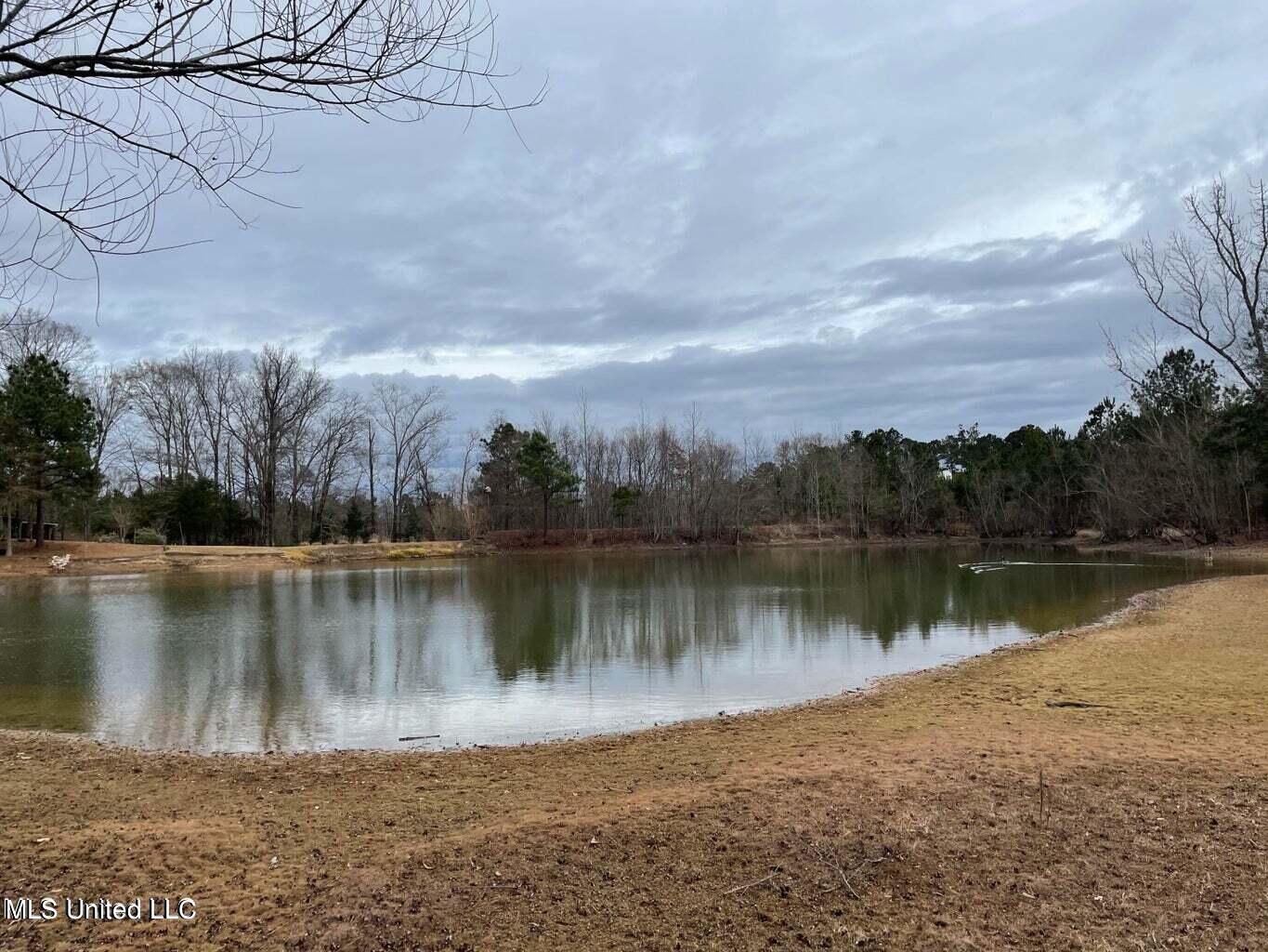 0 Springridge Road Terry, MS 39170 - Photo 10 of 12 Springridge Rd 11