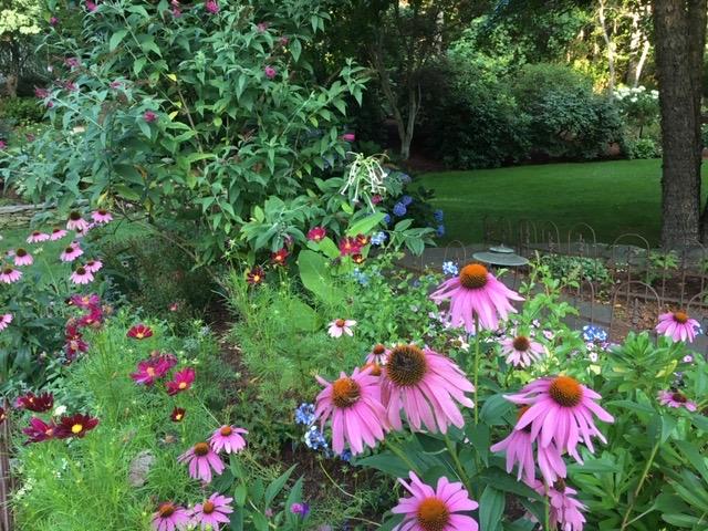 248 Long Pond Road Brewster, MA 02631 - Photo 14 of 45 Summer!