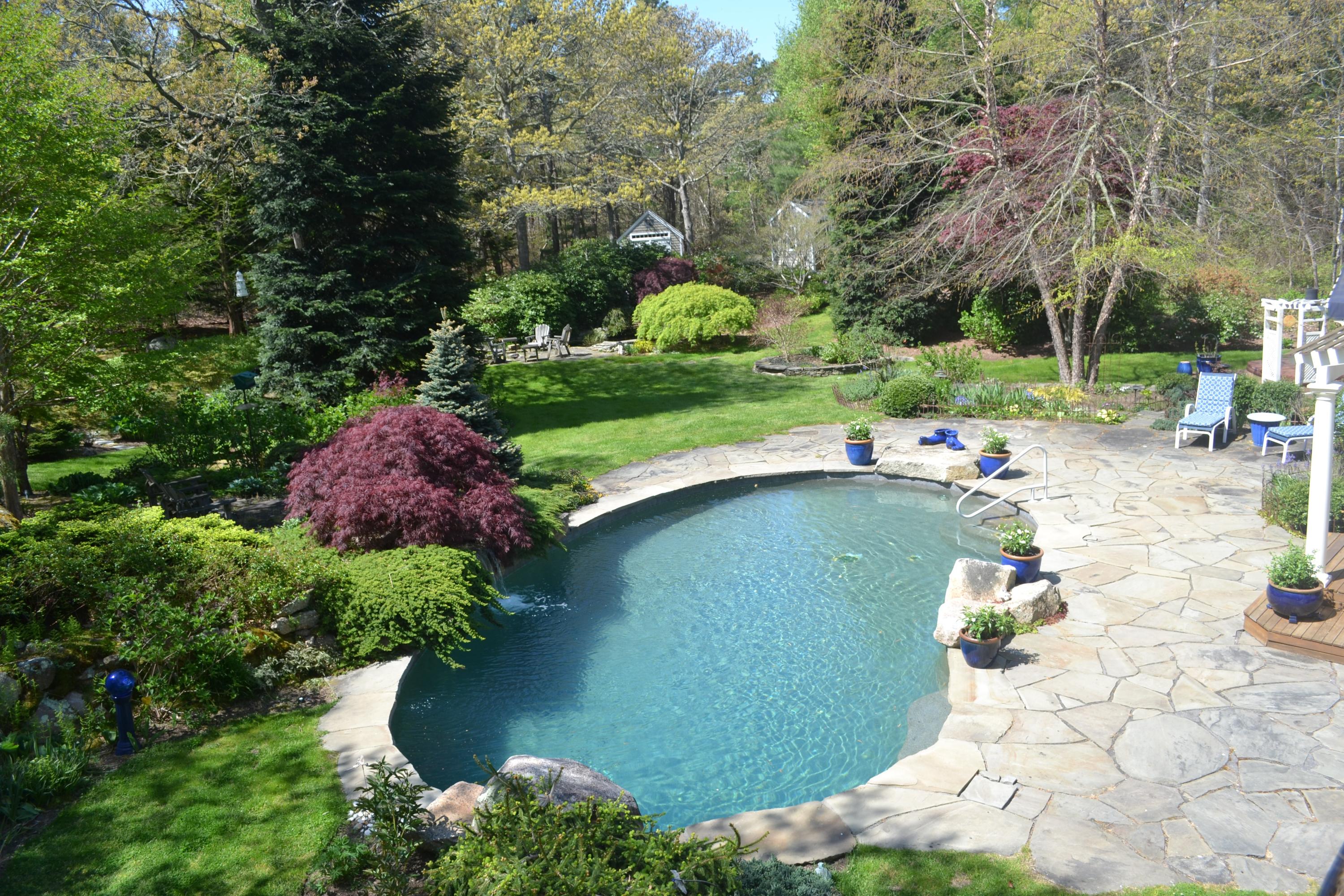 248 Long Pond Road Brewster, MA 02631 - Photo 3 of 45 Lets take a dip!