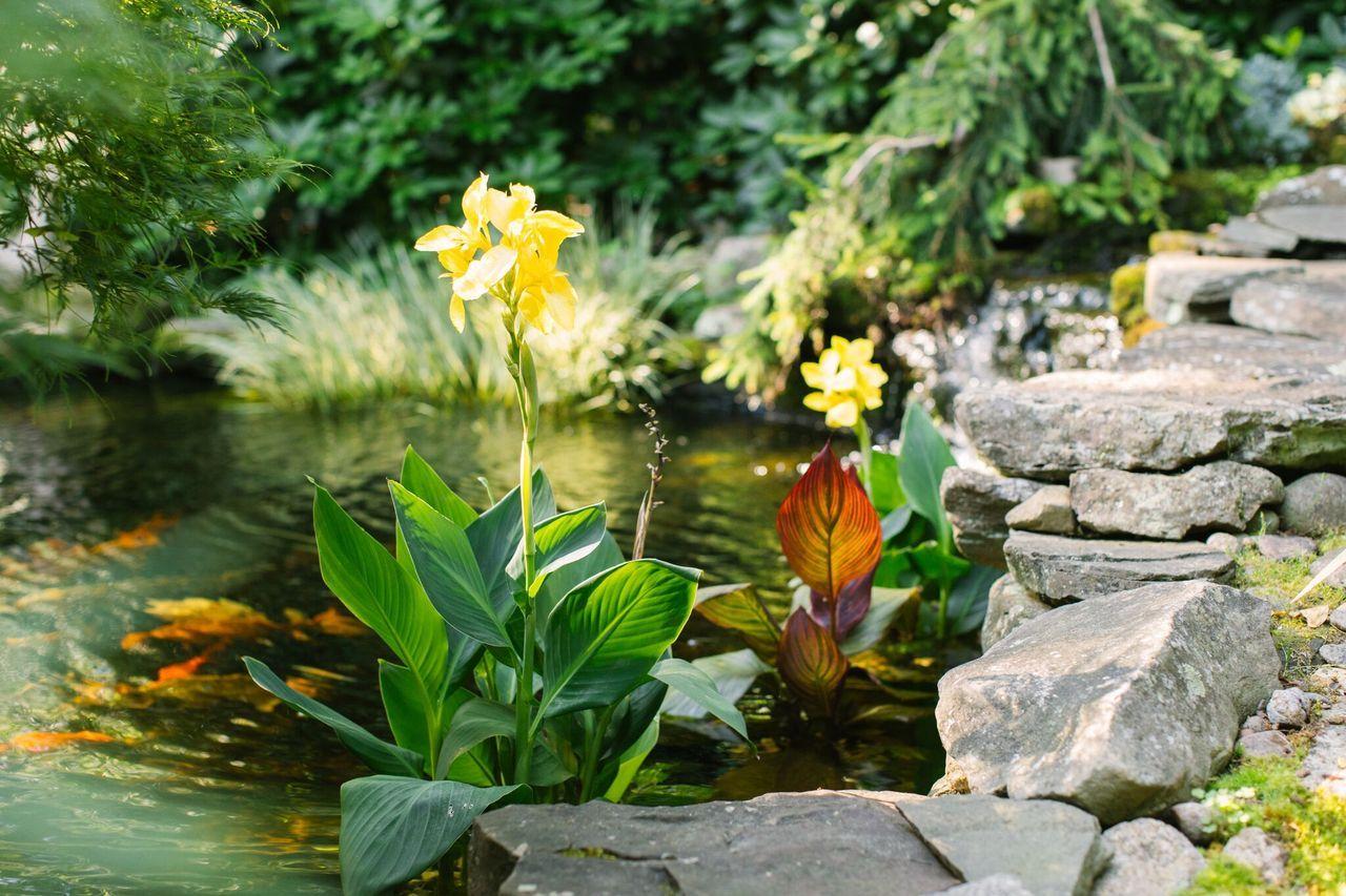 248 Long Pond Road Brewster, MA 02631 - Photo 10 of 45 Koi Pond