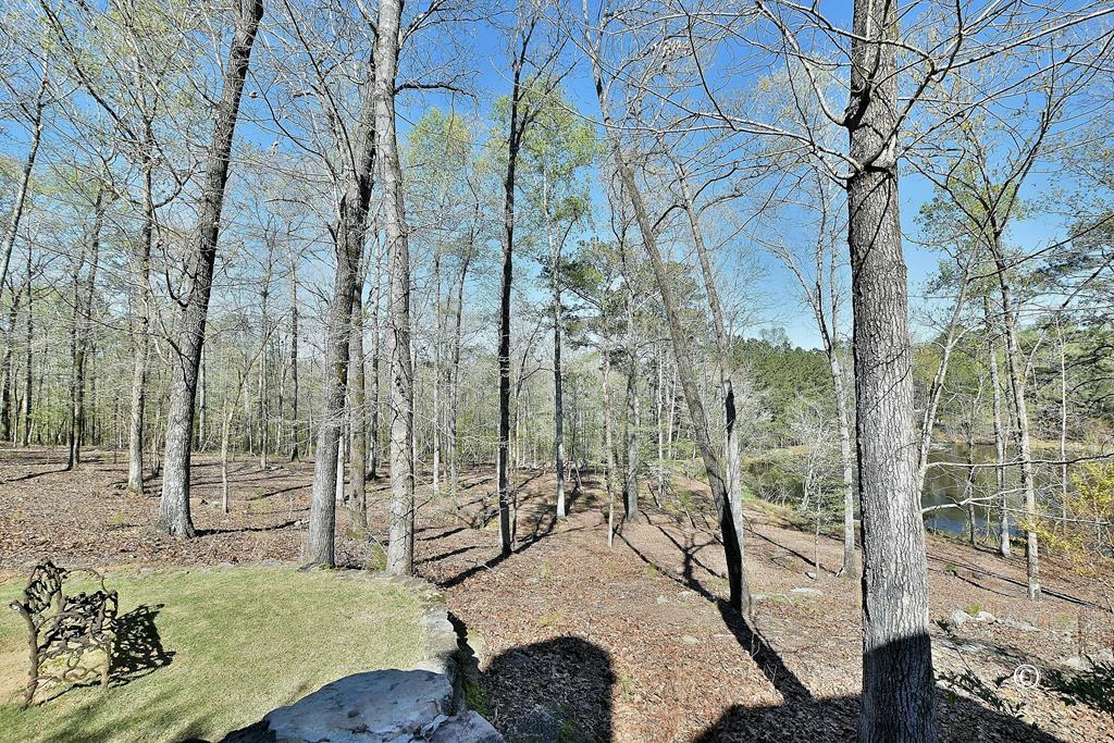 10501 Whitesville Road Fortson, GA 31808 - Photo 56 of 59 Gallery Image 56