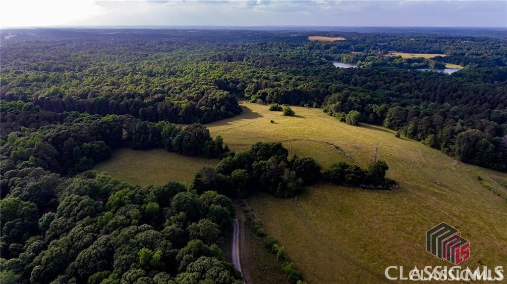 0 Savage Road, Unit LOT 6 Statham, GA 30666 - Photo 21 of 24