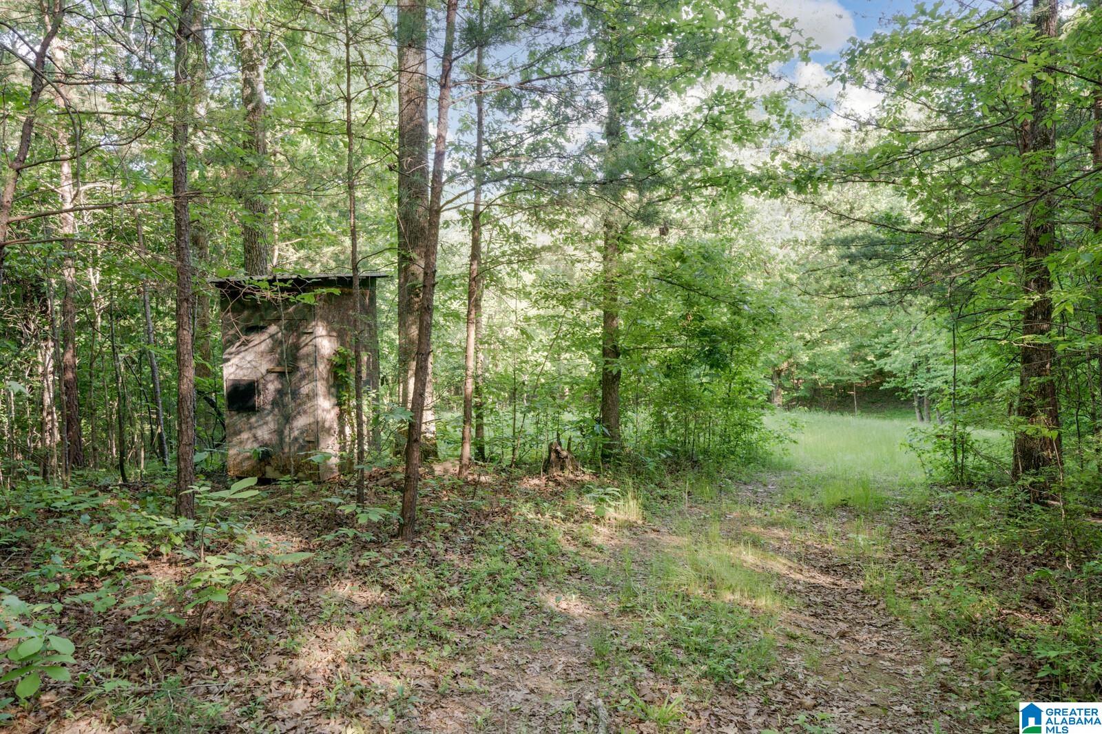 1744 County Road 63 Berry, AL 35546 - Photo 90 of 93 Gallery Image 90