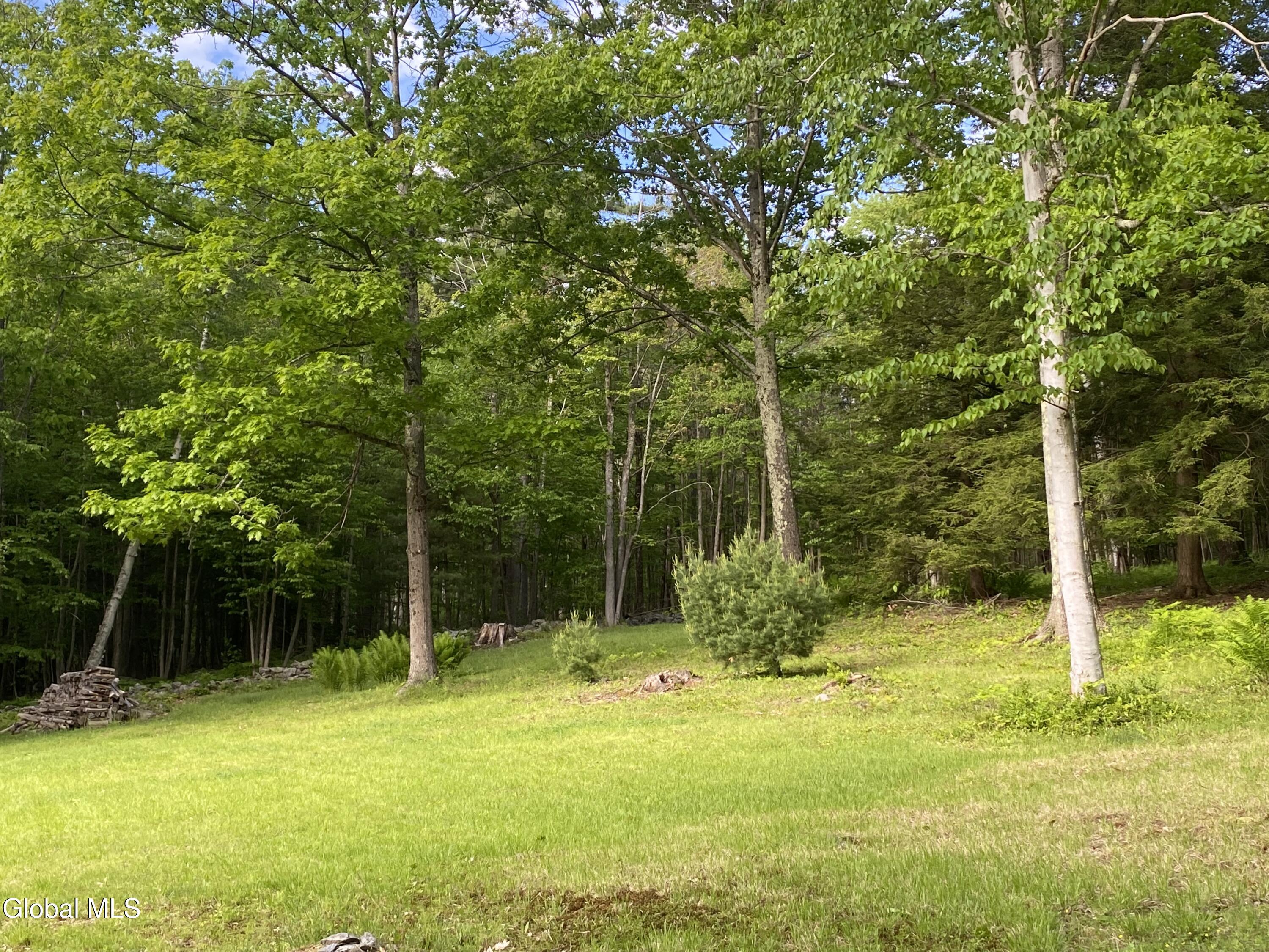 260 S Road Stephentown, NY 12018 - Photo 52 of 61 IMG_1926