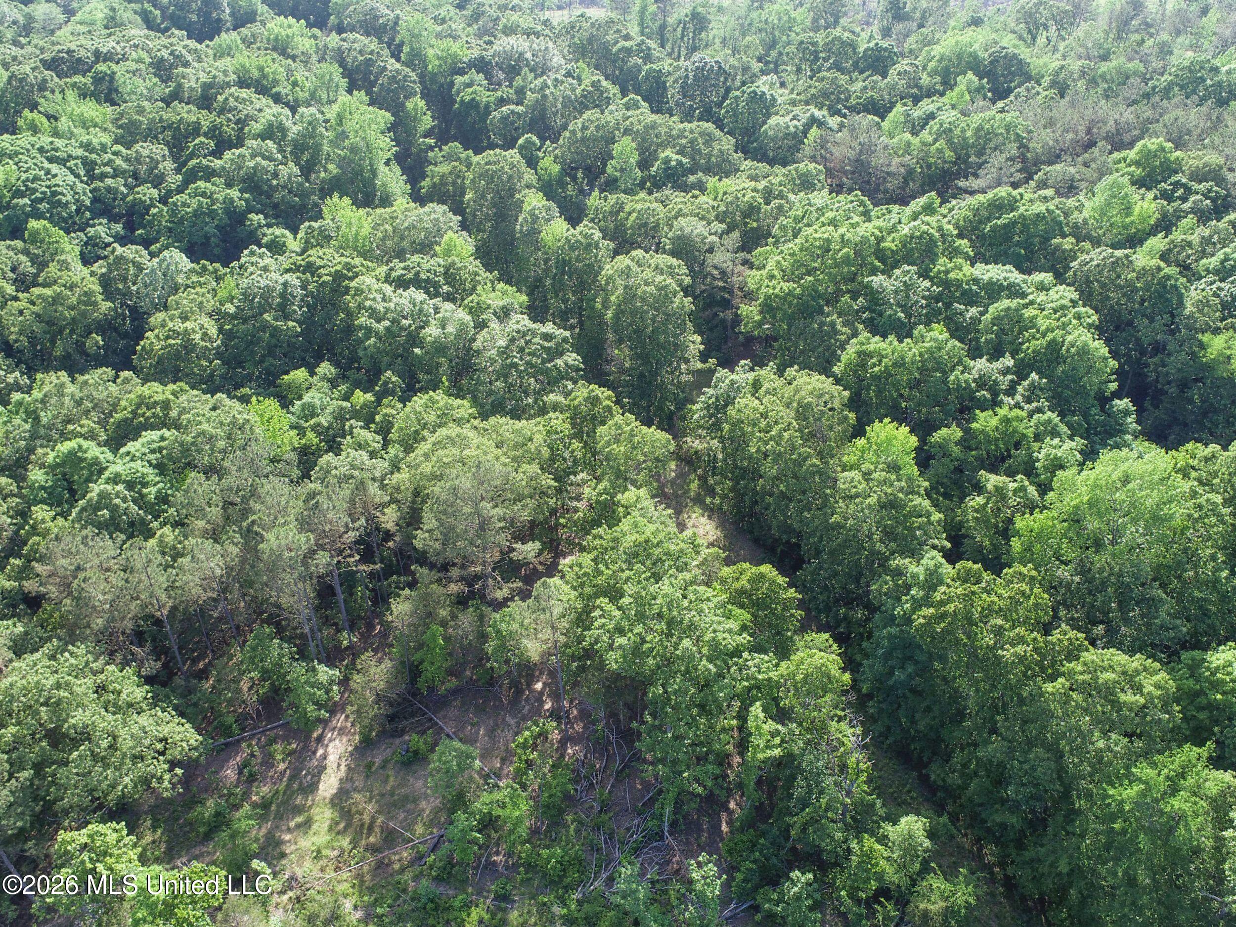 Wayne Massie Road Como, MS 38619 - Photo 71 of 184 3ctwmrd53
