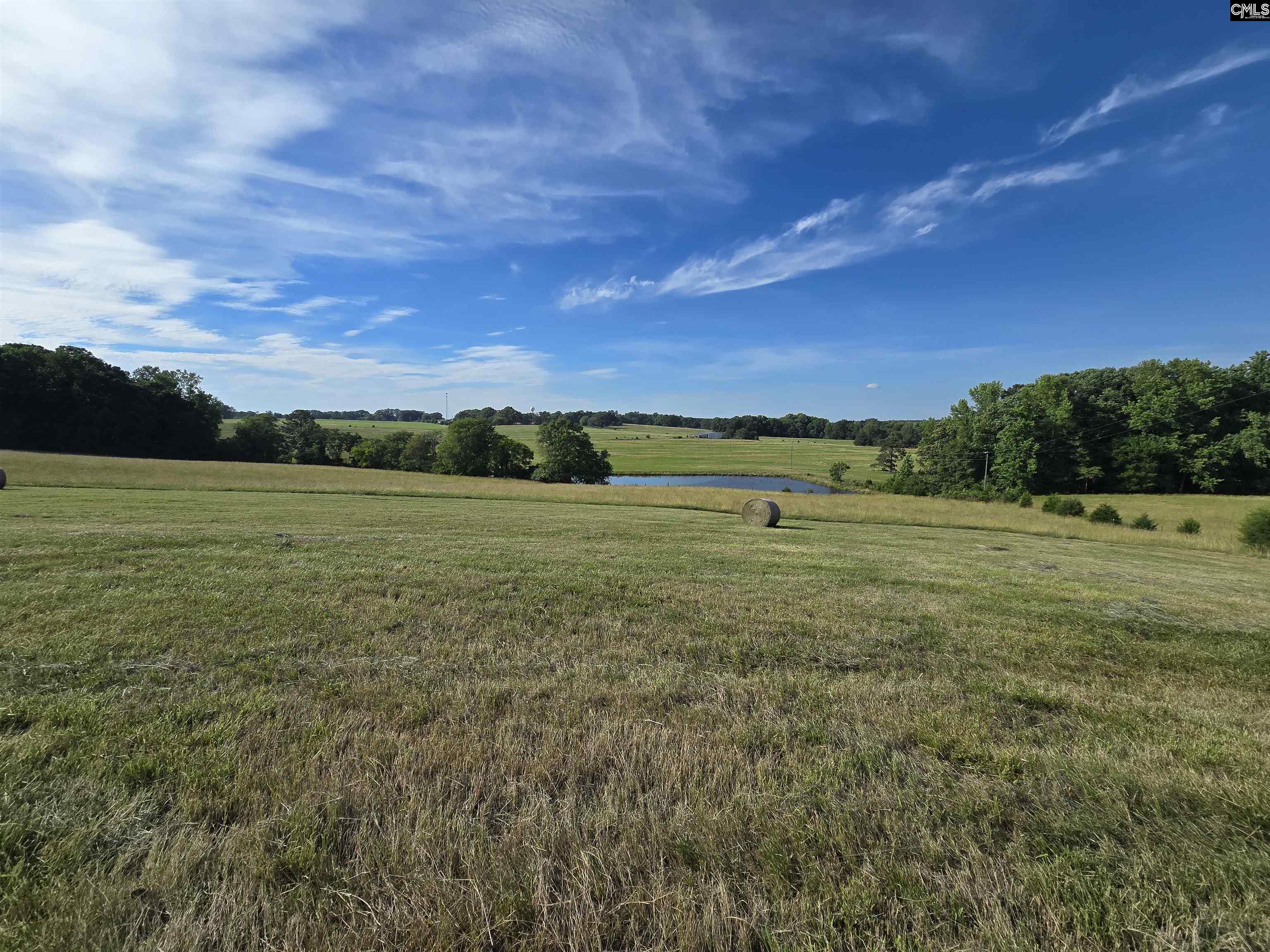 542 Pea Ridge Highway Jonesville, SC 29353 - Photo 15 of 72