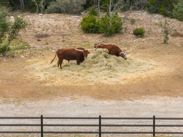 $4,200,000 | 298 Table Rock, Helotes, TX 78023