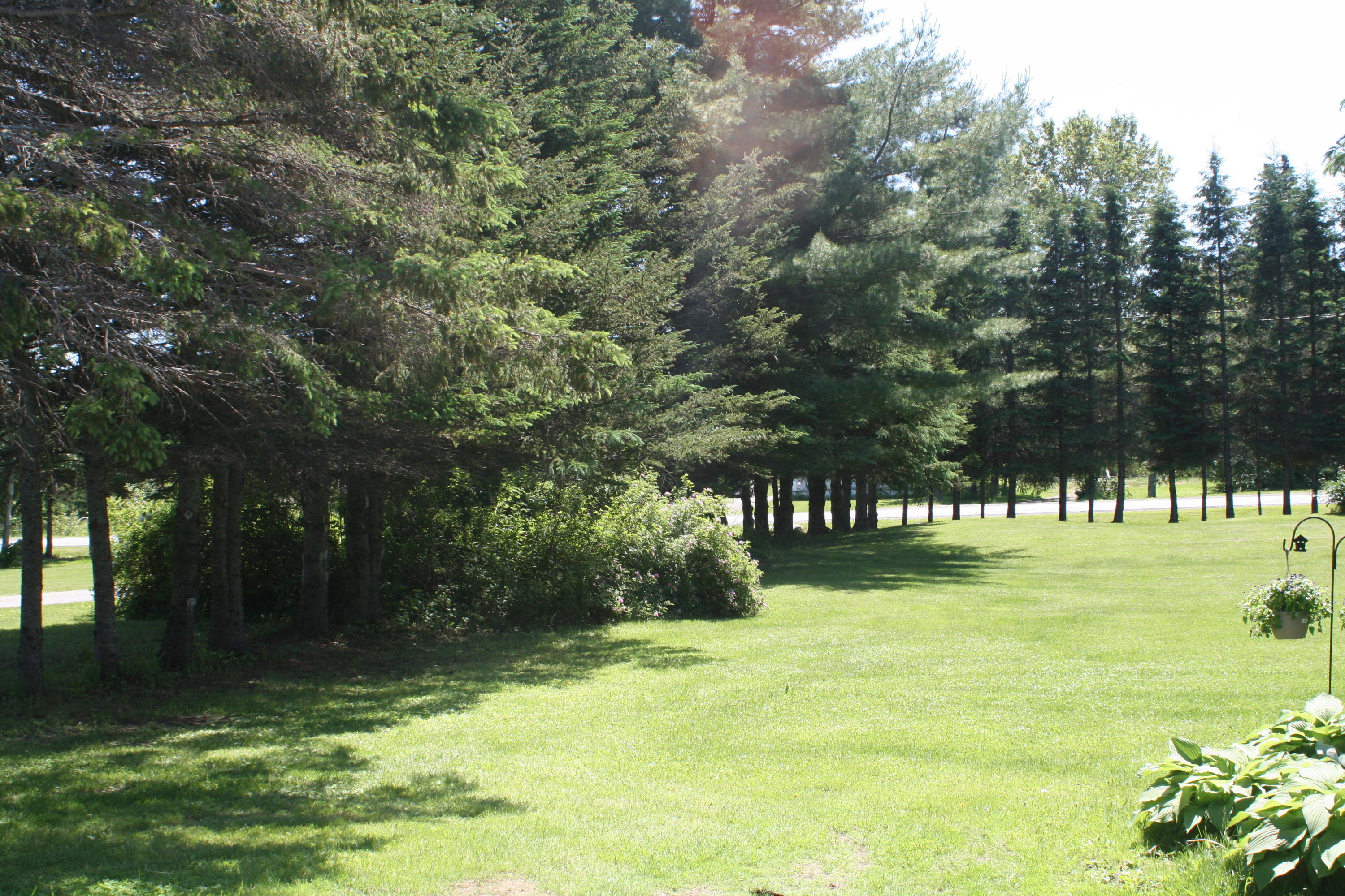 60 W Road Portage Lake, ME 04768 - Photo 32 of 41 lawn toward road