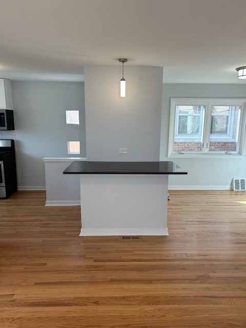 2358 Hainsworth Avenue North Riverside, IL 60546 - Photo 6 of 13