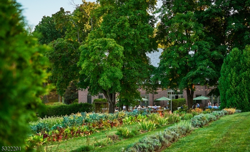 41 Abby Road Peapack, NJ 07977 - Photo 19 of 25