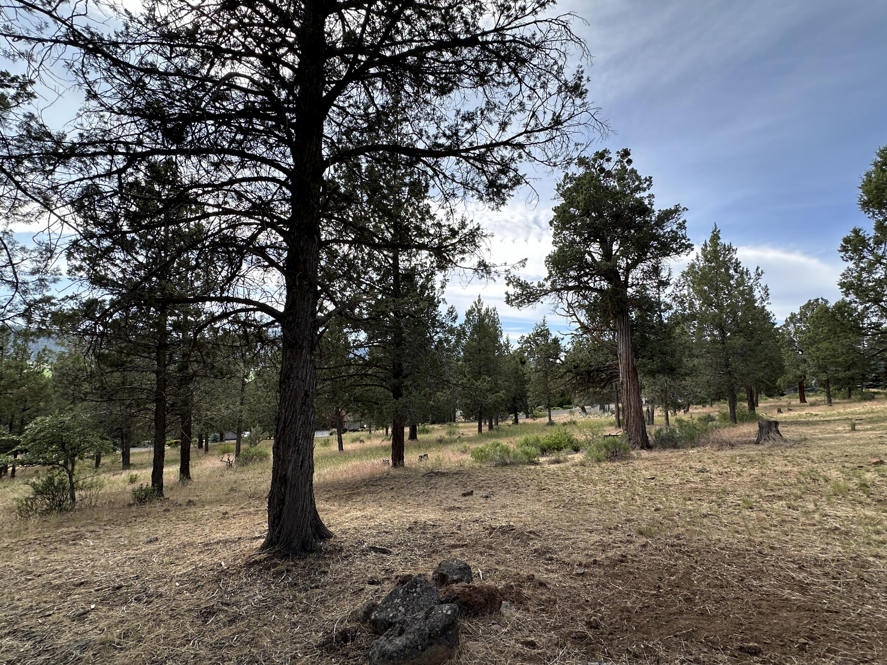 Lot 805 Cooper's Hawk Road Klamath Falls, OR 97601 - Photo 21 of 27 IMG_8777