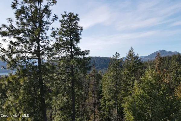 $549,000 | Nna Cedar Ridge Road, Sandpoint, ID 83864