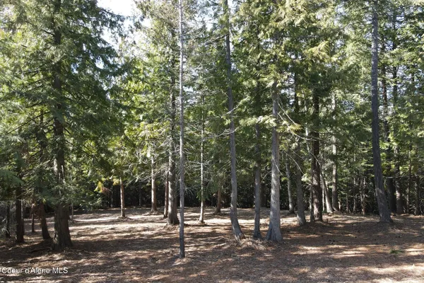 $549,000 | Nna Cedar Ridge Road, Sandpoint, ID 83864