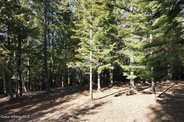 $549,000 | Nna Cedar Ridge Road, Sandpoint, ID 83864