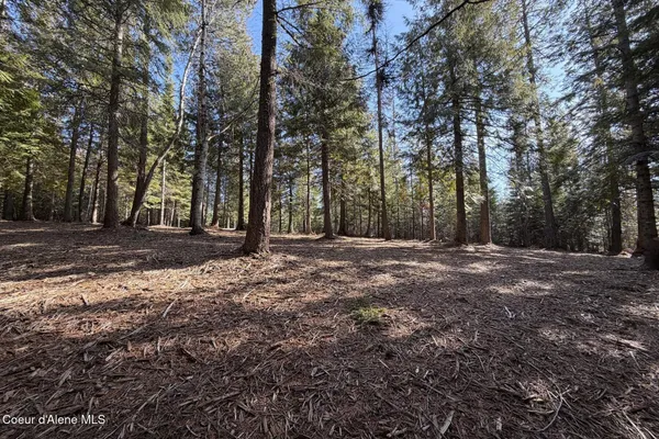 $549,000 | Nna Cedar Ridge Road, Sandpoint, ID 83864