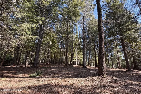 $549,000 | Nna Cedar Ridge Road, Sandpoint, ID 83864