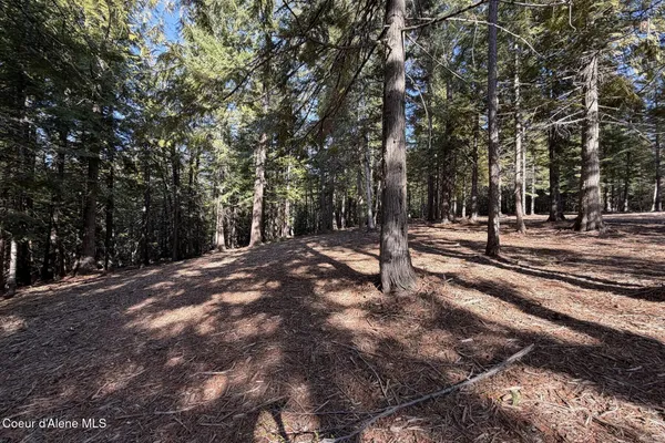 $549,000 | Nna Cedar Ridge Road, Sandpoint, ID 83864