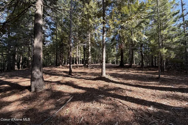 $549,000 | Nna Cedar Ridge Road, Sandpoint, ID 83864