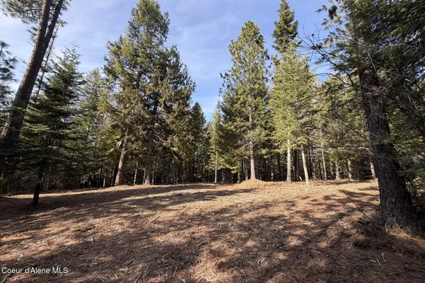 $549,000 | Nna Cedar Ridge Road, Sandpoint, ID 83864