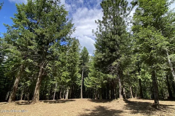 $549,000 | Nna Cedar Ridge Road, Sandpoint, ID 83864