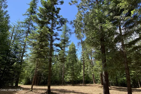 $549,000 | Nna Cedar Ridge Road, Sandpoint, ID 83864